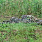 Sniper II.