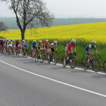 Natažený peloton