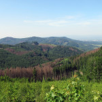 Pohled od Hostýna na trojvrší Javorčí, Poschlá a Barvínek